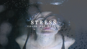 Stress