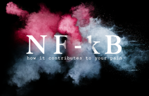 NF-kappa B